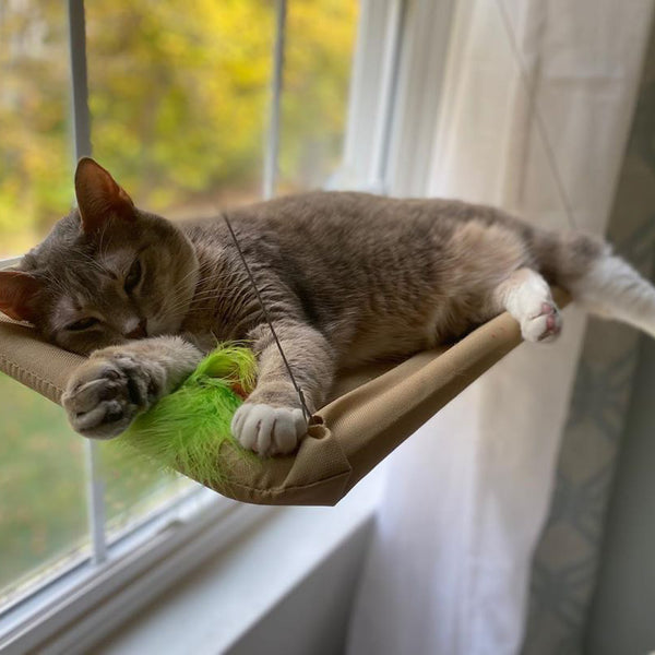 Cat Window Bed MEOWSERVATORY